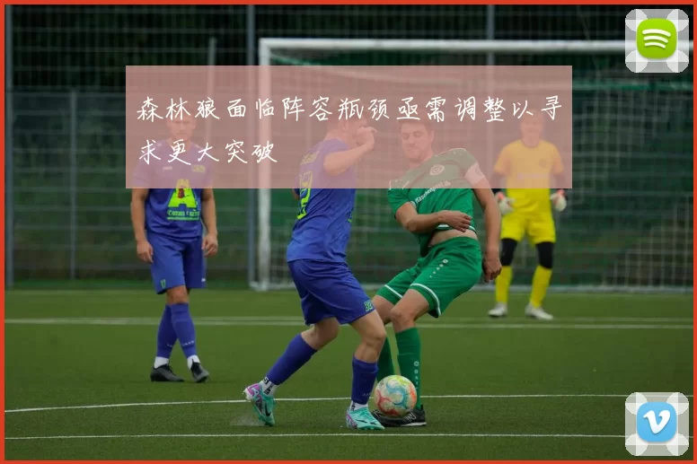 森林狼面临阵容瓶颈亟需调整以寻求更大突破