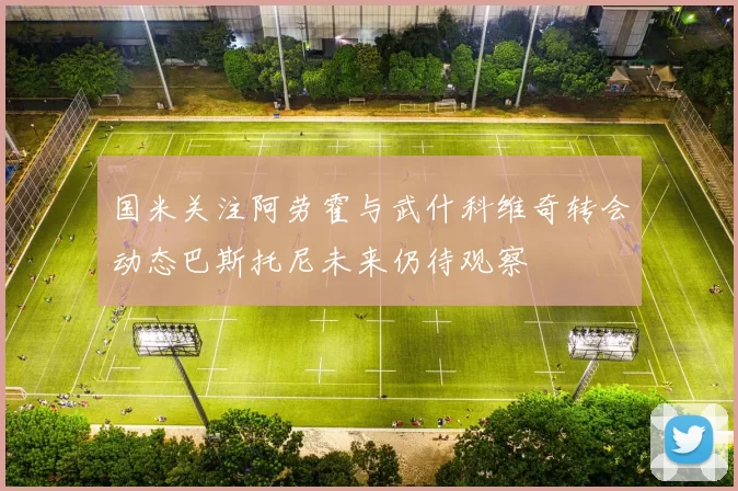 国米关注阿劳霍与武什科维奇转会动态巴斯托尼未来仍待观察