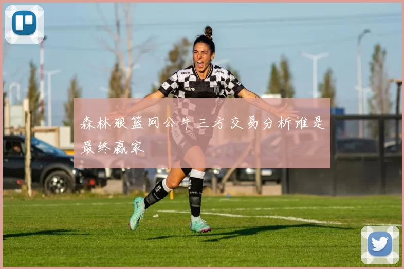 森林狼篮网公牛三方交易分析谁是最终赢家